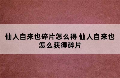 仙人自来也碎片怎么得 仙人自来也怎么获得碎片